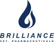 Brilliance Brilliance logo