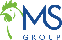 MS Group MS Group logo