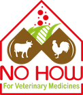 No How No How logo