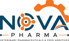 Nova Nova logo